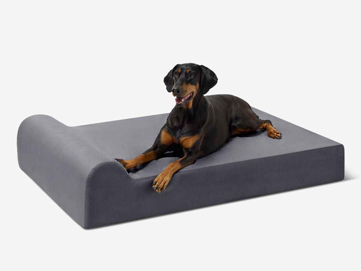 Seven-Inch Orthopedic Dog Bed product image 15