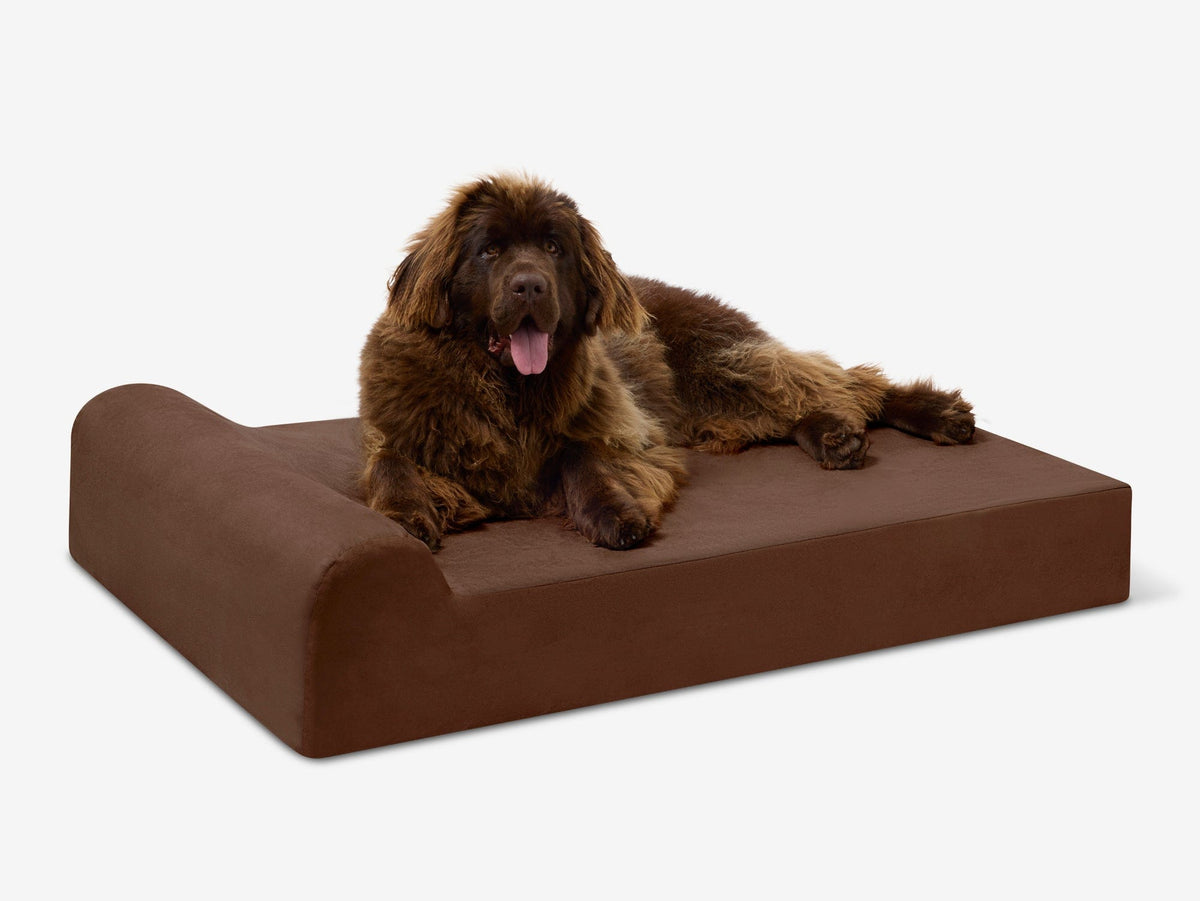 Seven-Inch Orthopedic Dog Bed product image 16