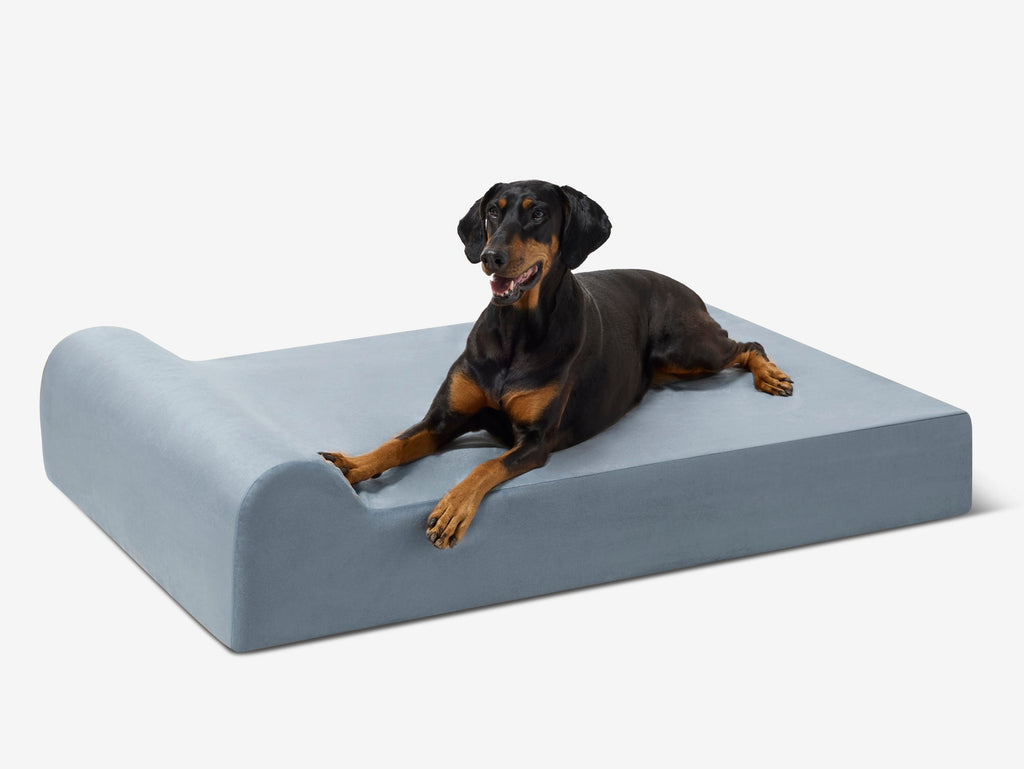 Seven-Inch Orthopedic Dog Bed product image 17