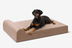 Seven-Inch Orthopedic Dog Bed product image 18