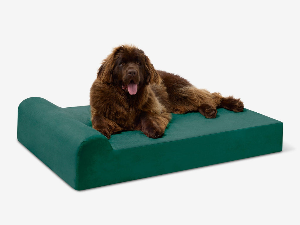 Seven-Inch Orthopedic Dog Bed product image 20
