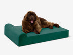 Seven-Inch Orthopedic Dog Bed product image 20