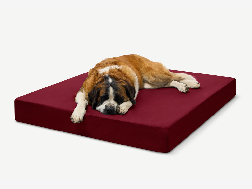 Seven-Inch Orthopedic Dog Bed product image 21