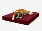 Seven-Inch Orthopedic Dog Bed product image 21