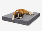 Seven-Inch Orthopedic Dog Bed product image 22