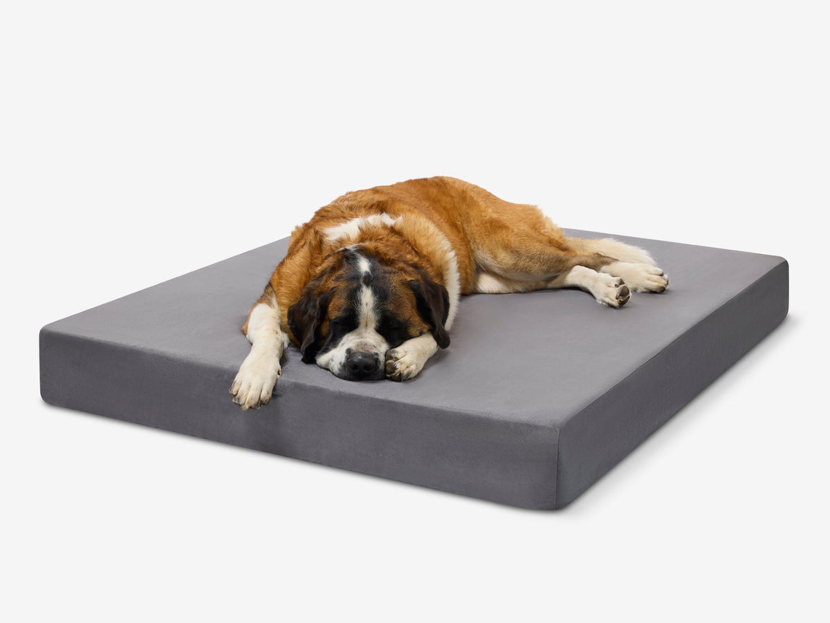 Seven-Inch Orthopedic Dog Bed product image 22