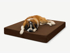 Seven-Inch Orthopedic Dog Bed product image 23