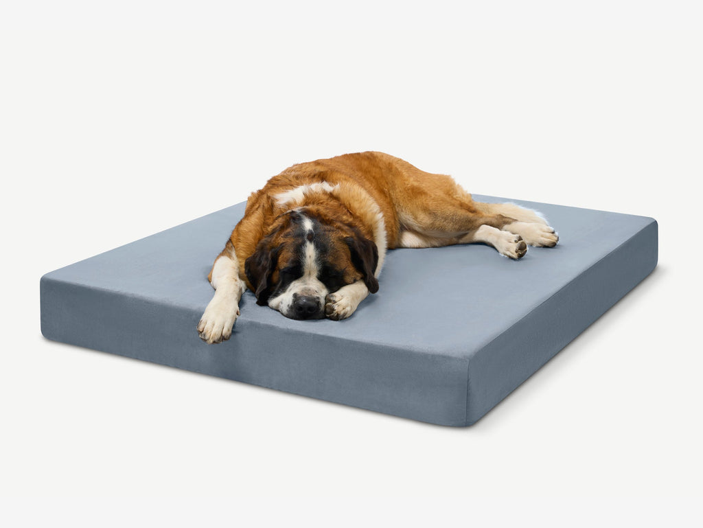 Seven-Inch Orthopedic Dog Bed product image 24