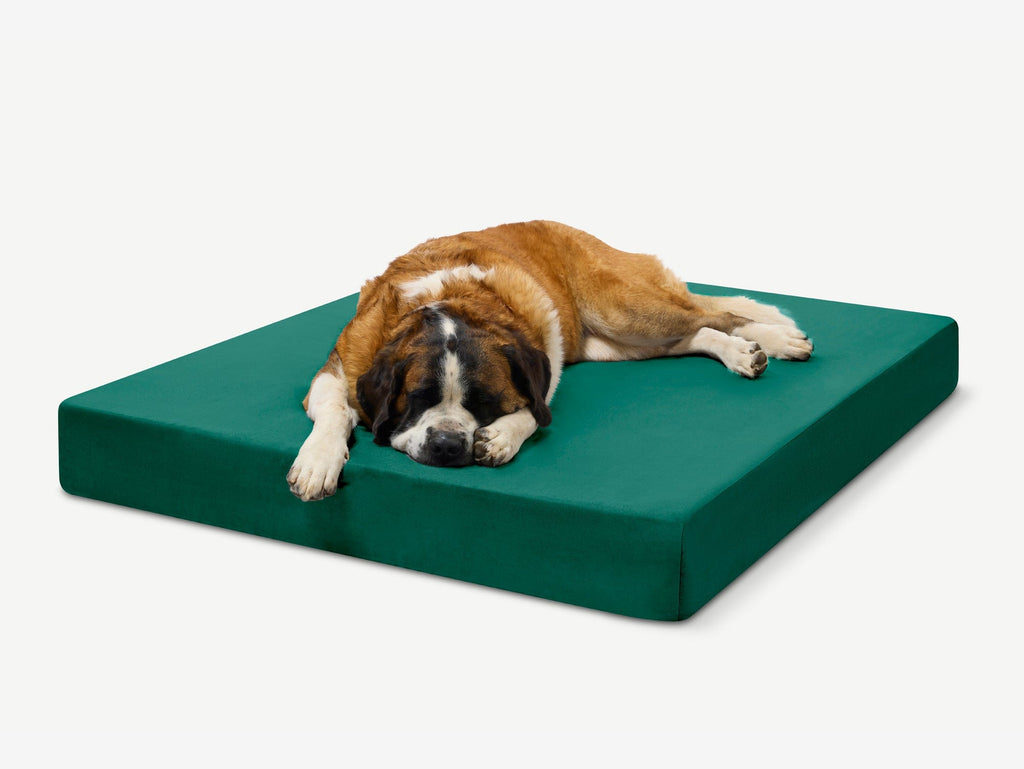 Seven-Inch Orthopedic Dog Bed product image 27