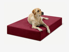 Seven-Inch Orthopedic Dog Bed product image 28