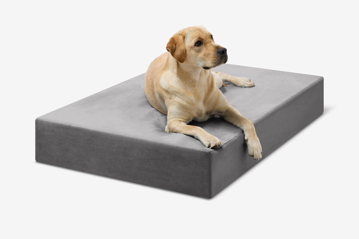 Seven-Inch Orthopedic Dog Bed product image 29