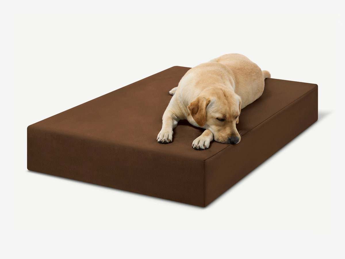 Seven-Inch Orthopedic Dog Bed product image 30