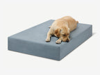 Seven-Inch Orthopedic Dog Bed product image 31