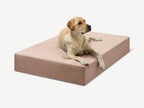 Seven-Inch Orthopedic Dog Bed product image 32