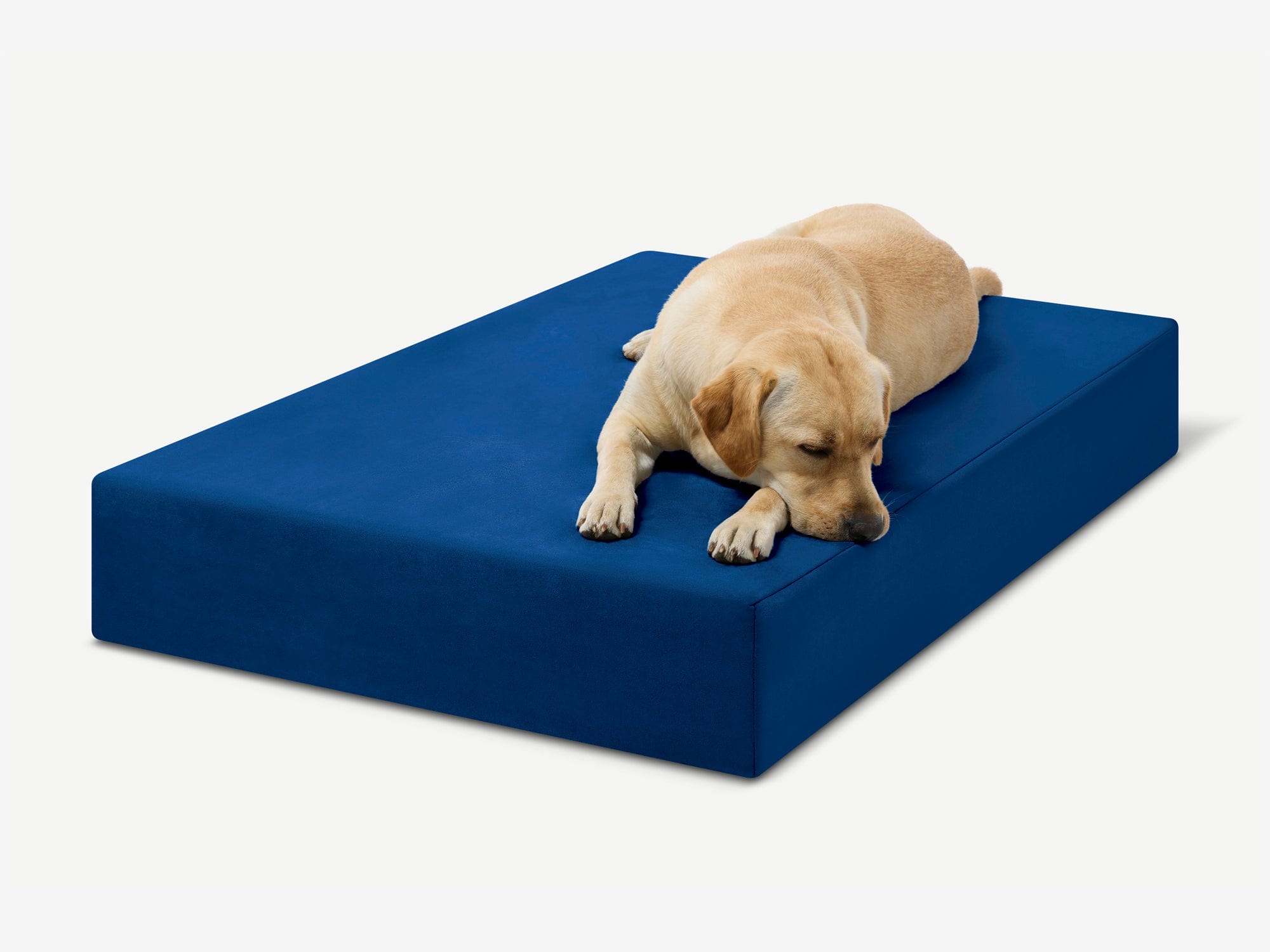 Seven-Inch Orthopedic Dog Bed product image 33