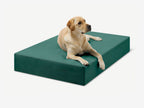 Seven-Inch Orthopedic Dog Bed product image 34