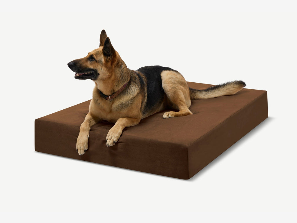 Seven-Inch Orthopedic Dog Bed product image 37