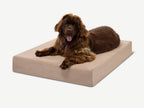 Seven-Inch Orthopedic Dog Bed product image 39