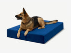 Seven-Inch Orthopedic Dog Bed product image 40