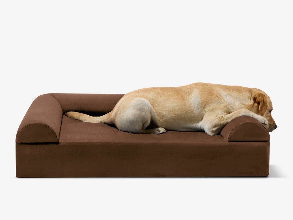 Seven-Inch Orthopedic Dog Bed product image 47