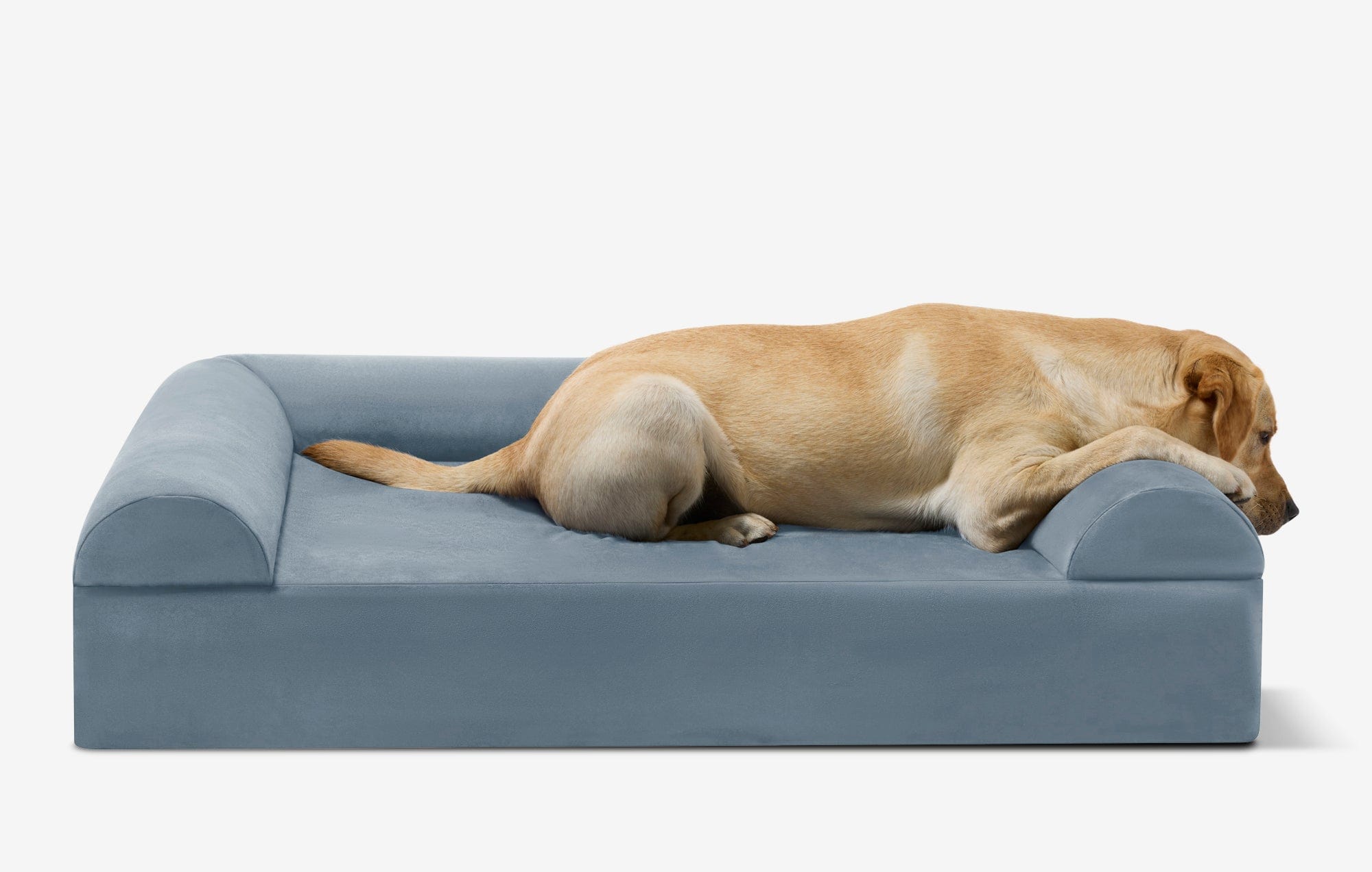 Seven-Inch Orthopedic Dog Bed product image 48