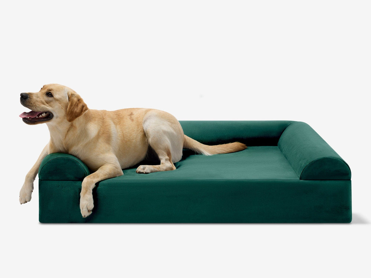 Seven-Inch Orthopedic Dog Bed product image 50