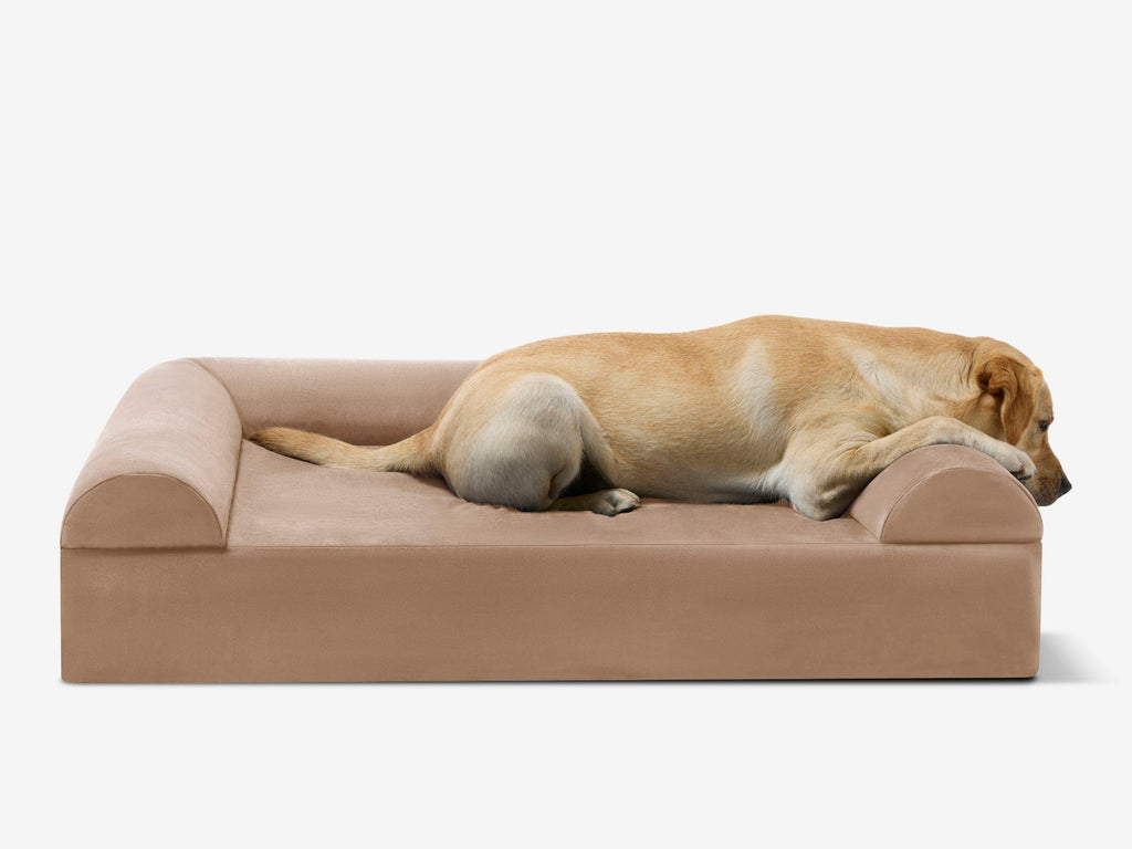 Seven-Inch Orthopedic Dog Bed product image 51