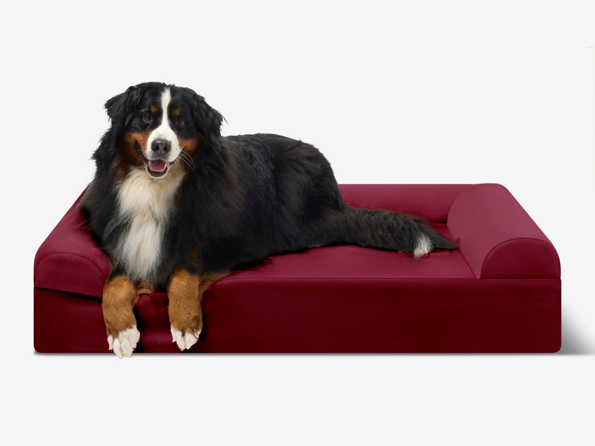 Seven-Inch Orthopedic Dog Bed product image 52