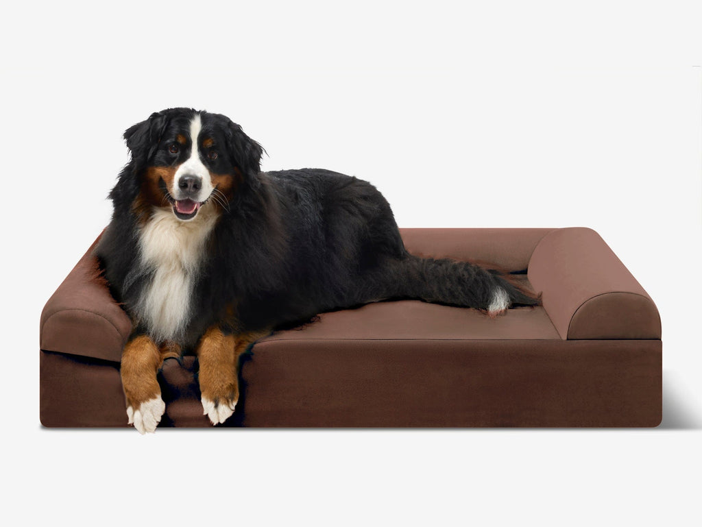 Seven-Inch Orthopedic Dog Bed product image 53