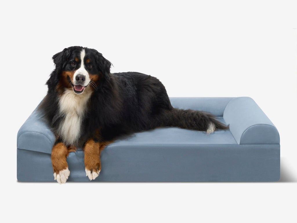 Seven-Inch Orthopedic Dog Bed product image 54