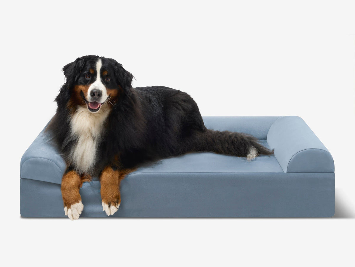 Seven-Inch Orthopedic Dog Bed product image 54