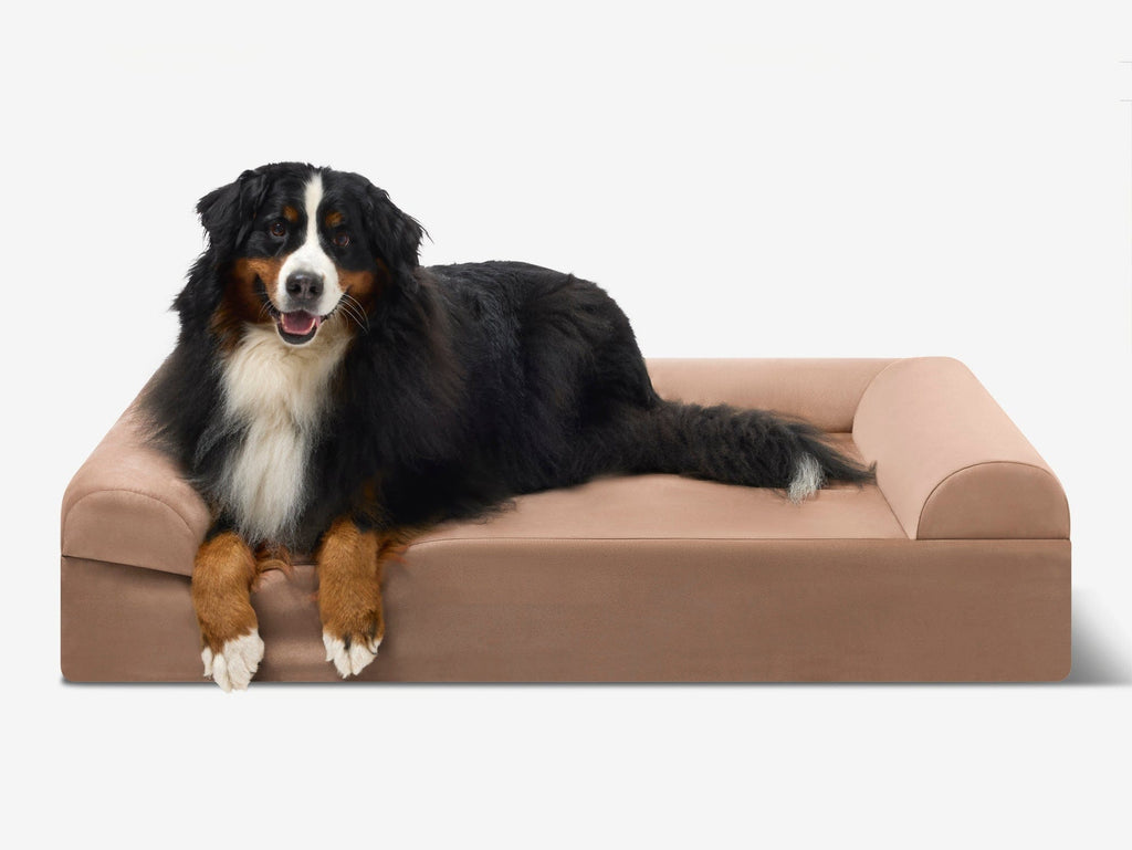 Seven-Inch Orthopedic Dog Bed product image 55