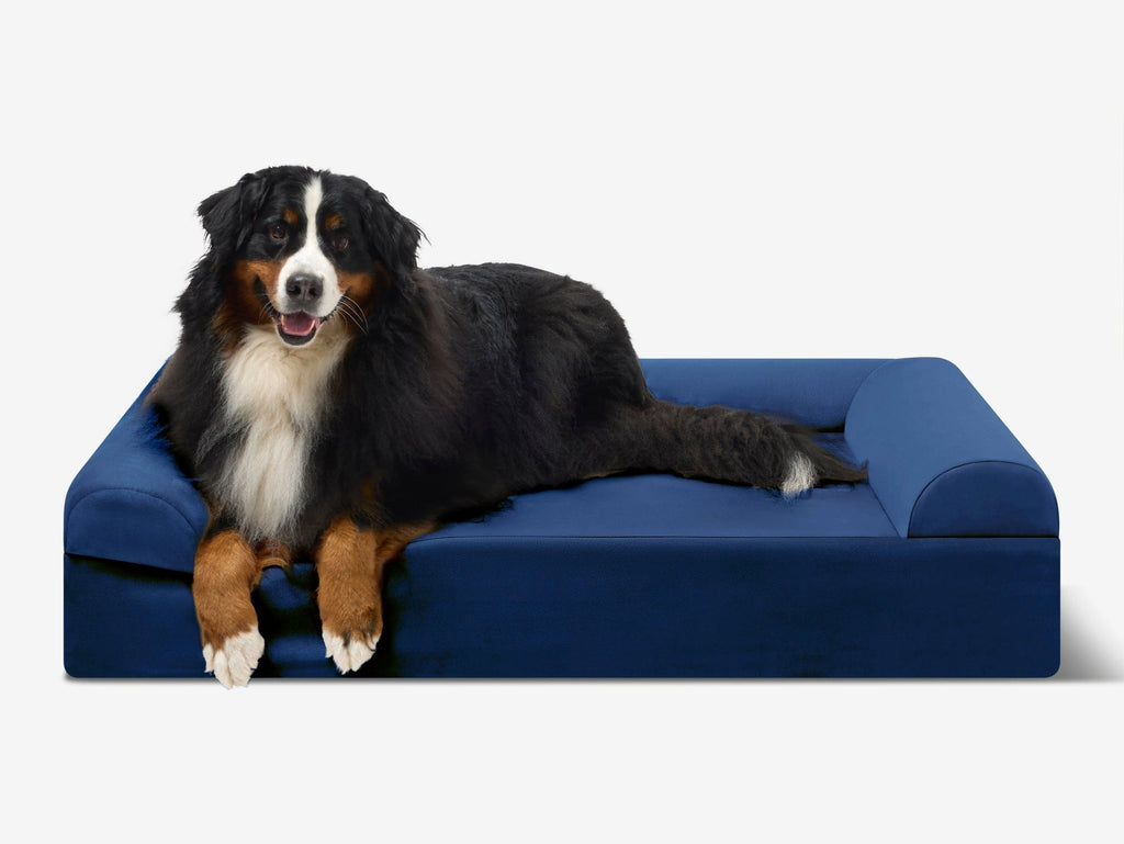 Seven-Inch Orthopedic Dog Bed product image 56