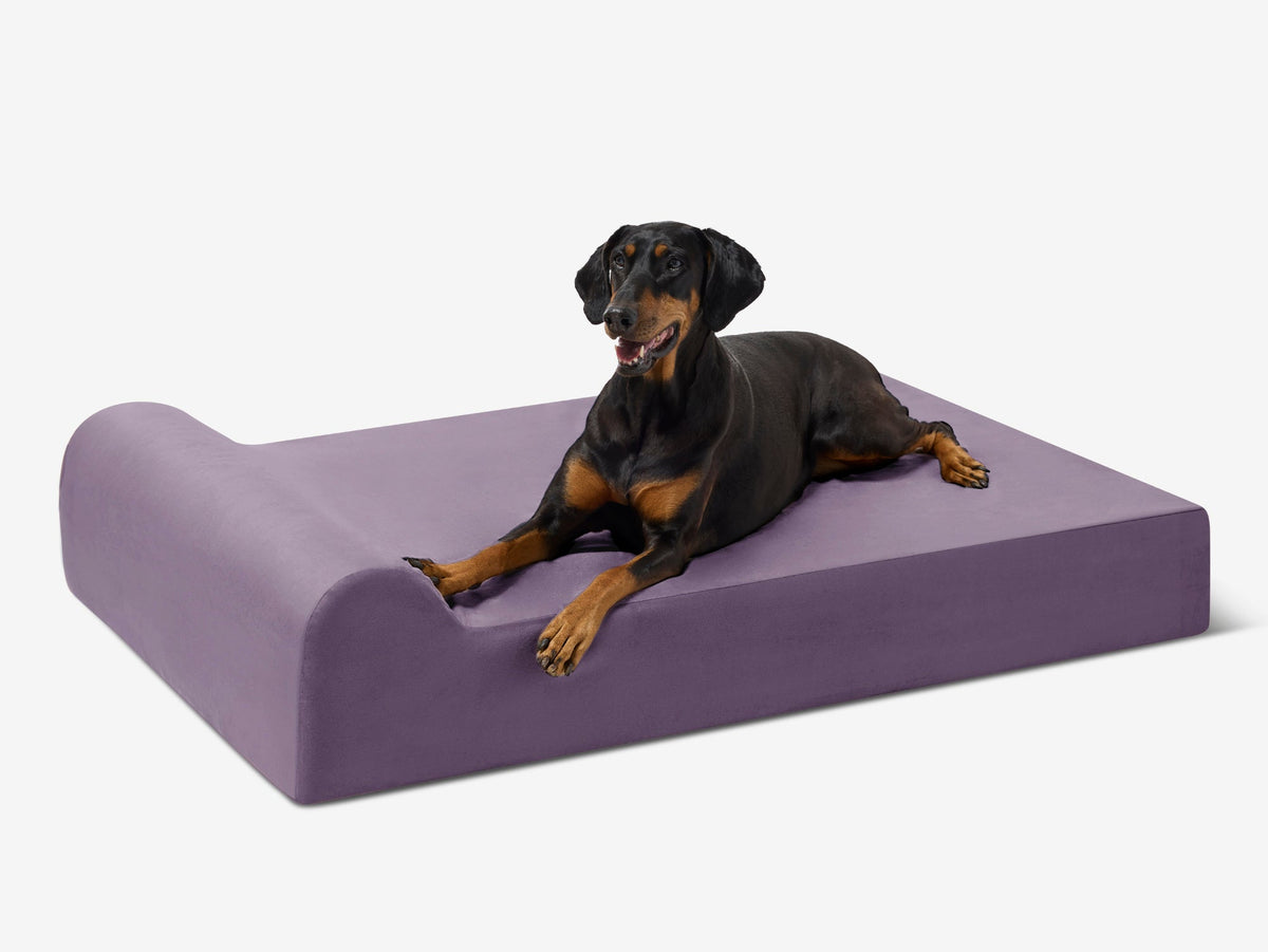 Seven-Inch Orthopedic Dog Bed product image 59