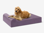 Seven-Inch Orthopedic Dog Bed product image 60