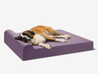 Seven-Inch Orthopedic Dog Bed product image 61