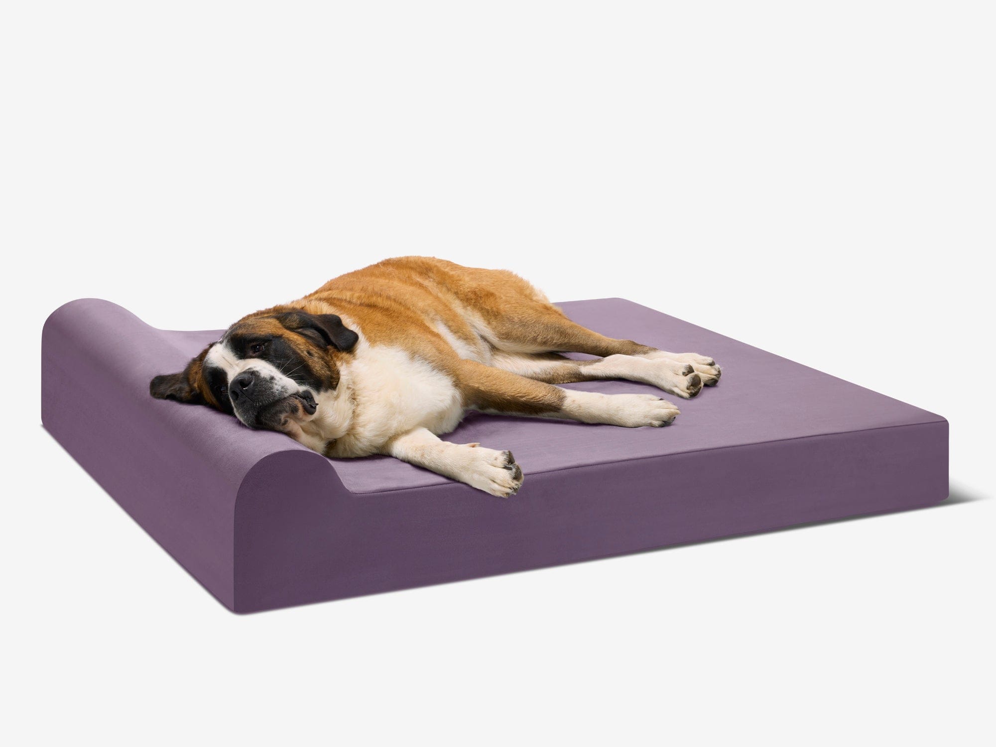 Seven-Inch Orthopedic Dog Bed product image 61