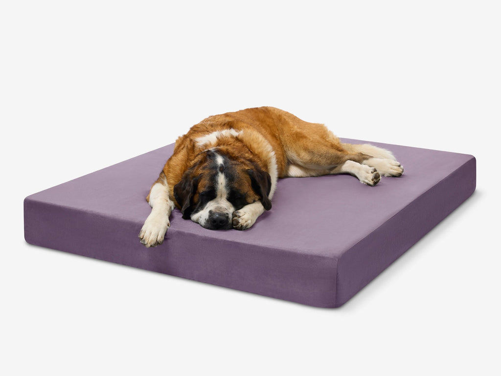 Seven-Inch Orthopedic Dog Bed product image 62