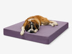 Seven-Inch Orthopedic Dog Bed product image 62
