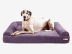 Seven-Inch Orthopedic Dog Bed product image 65
