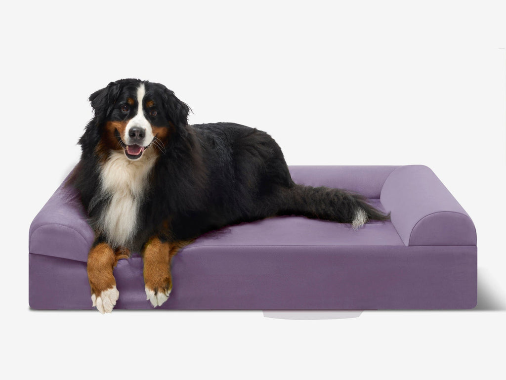 Seven-Inch Orthopedic Dog Bed product image 67