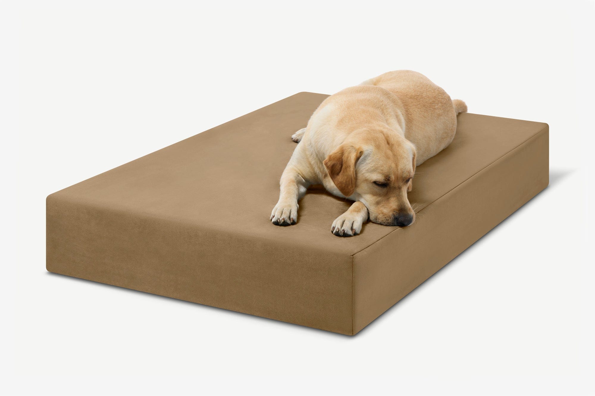 Seven-Inch Orthopedic Dog Bed product image 68
