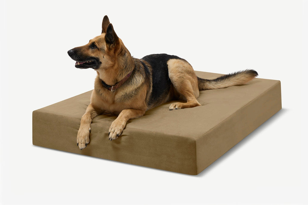 Seven-Inch Orthopedic Dog Bed product image 69