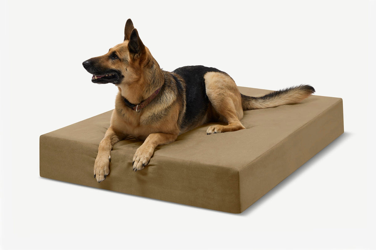Seven-Inch Orthopedic Dog Bed product image 69