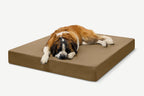 Seven-Inch Orthopedic Dog Bed product image 70