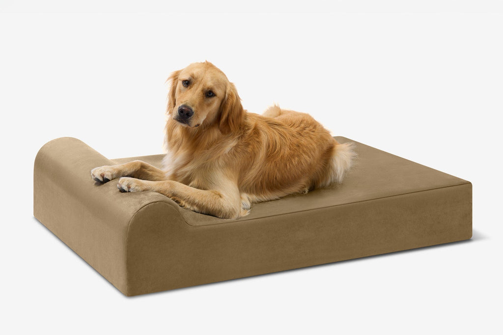 Seven-Inch Orthopedic Dog Bed product image 71