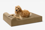 Seven-Inch Orthopedic Dog Bed product image 71
