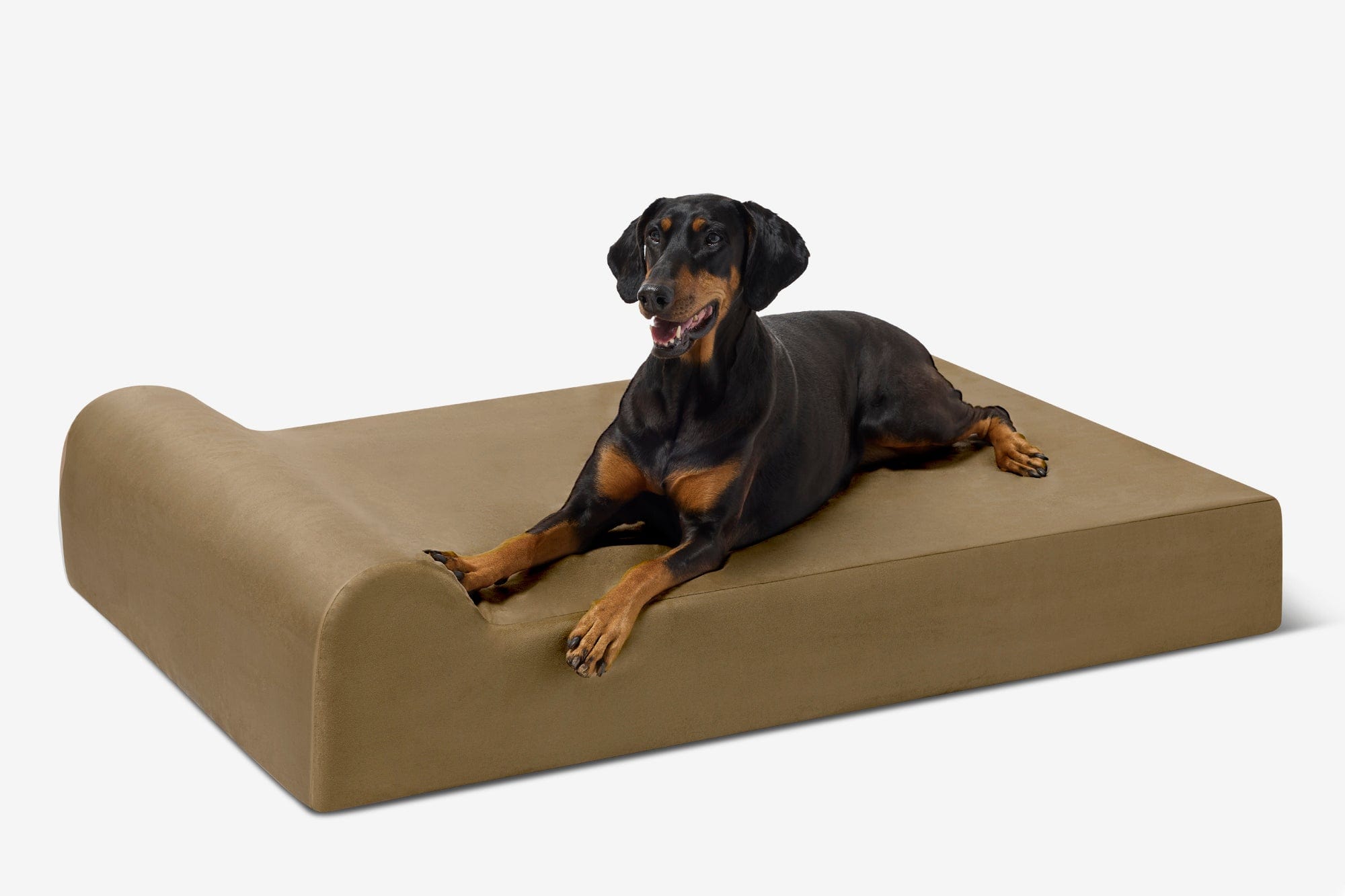 Seven-Inch Orthopedic Dog Bed product image 72