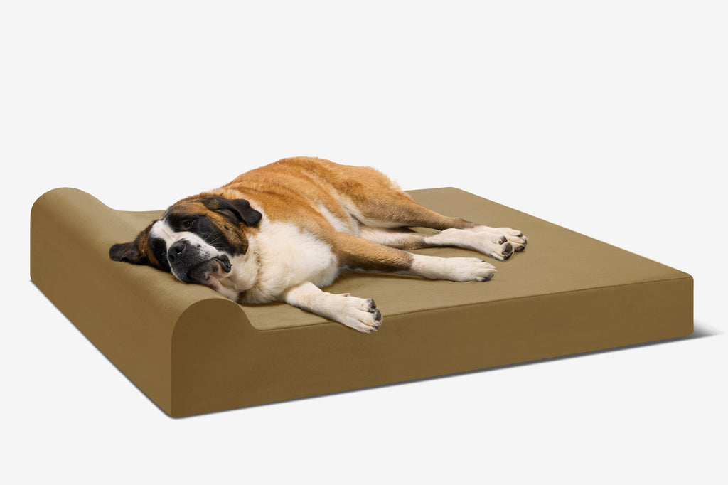 Seven-Inch Orthopedic Dog Bed product image 73