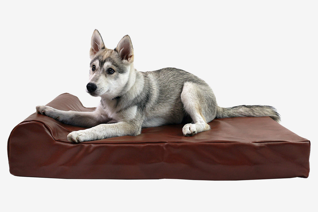 Seven-Inch Orthopedic Dog Bed product image 86